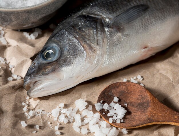Asortyment ryb surowych do gotowania