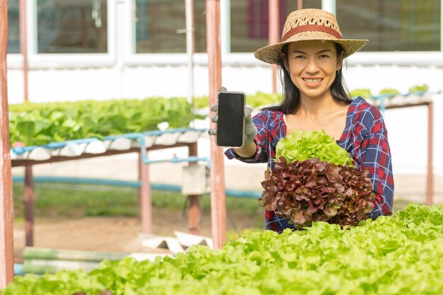 Azjatycka kobieta rolników pracujących przy użyciu telefonu komórkowego w uprawie hydroponicznej warzyw ze szczęścia. Portret kobiety rolnik sprawdzanie jakości zielonej sałaty warzywnej z uśmiechem w gospodarstwie zielonym domu.