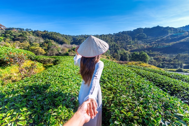 Azjatycka kobieta ubrana w tradycyjną kulturę Wietnamu trzymając mężczyznę za rękę i prowadząc go do pola zielonej herbaty.