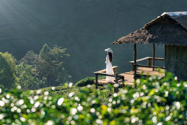 Bezpłatne zdjęcie azjatycka kobieta ubrana w tradycyjną kulturę wietnamu w polu zielonej herbaty na doi ang khang, chiang mai, tajlandia