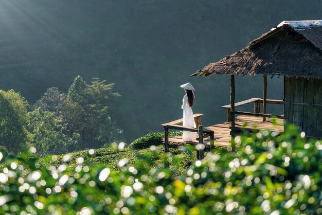 Azjatycka kobieta ubrana w tradycyjną kulturę Wietnamu w polu zielonej herbaty na Doi Ang Khang, Chiang Mai, Tajlandia