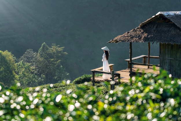 Azjatycka kobieta ubrana w tradycyjną kulturę Wietnamu w polu zielonej herbaty na Doi Ang Khang, Chiang Mai, Tajlandia