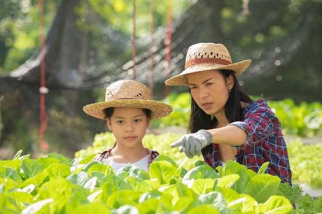 Azjatycka matka i córka pomagają wspólnie zbierać świeże hydroponiczne warzywa na farmie, ogrodnictwo koncepcyjne i edukację dzieci w gospodarstwie domowym w stylu życia rodzinnego.
