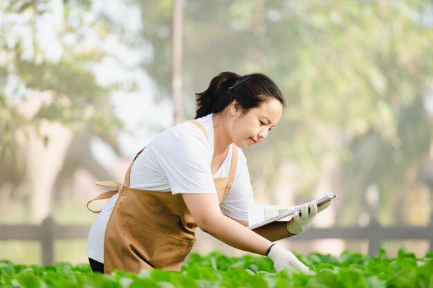 Azjatycki rolnik kobieta pracuje w ekologicznej farmie hydroponicznej warzyw. Właściciel hydroponicznego ogrodu sałatkowego sprawdzający jakość warzyw na plantacji szklarniowej.