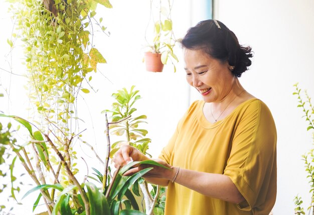 Azjatyckie kobiety ręki obcieranie houseplants opuszczają