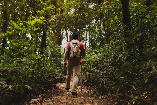 Bezpłatne zdjęcie backpacker wędrówki w lesie