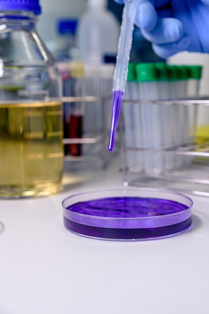 Badanie fioletowej substancji na szalce Petriego za pomocą pipety podczas prowadzenia badań koronawirusa