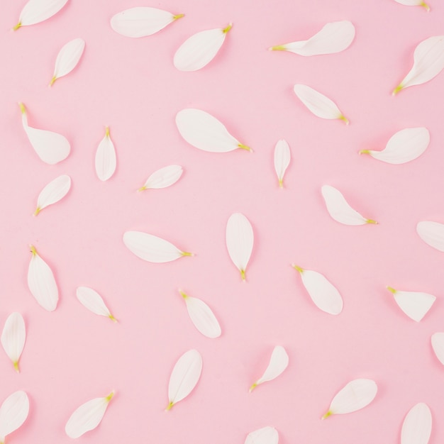 Bezpłatne zdjęcie bezszwowi biali płatki na różowym tle