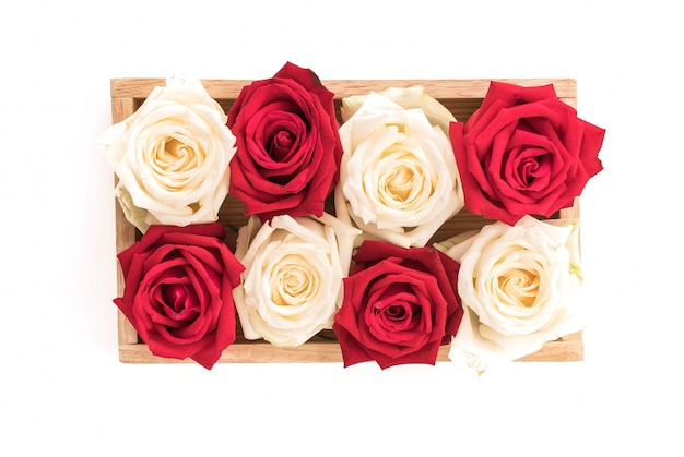 Bezpłatne zdjęcie biała i czerwona róża na białym tle