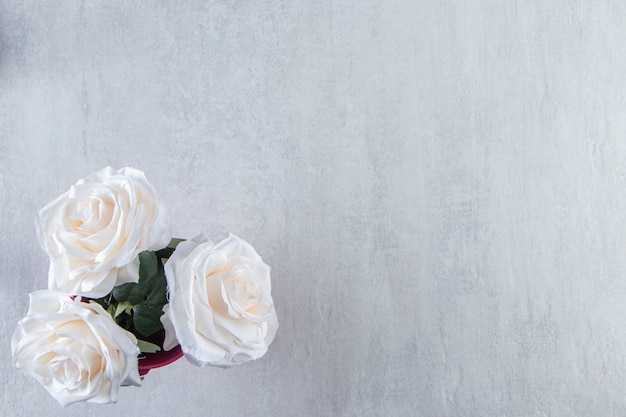 Biała róża w misce, na białym stole.