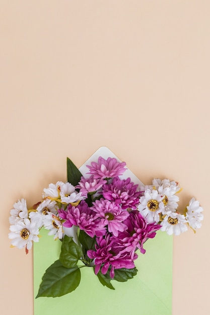Bezpłatne zdjęcie białe i fioletowe kwiaty w kopercie