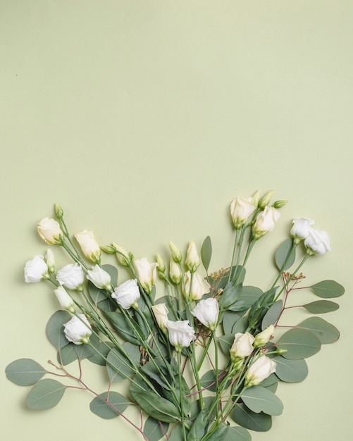 Bezpłatne zdjęcie białe róże na liściach