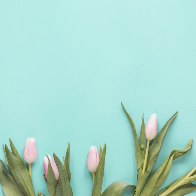 Bezpłatne zdjęcie biali tulipanowi kwiaty na stole