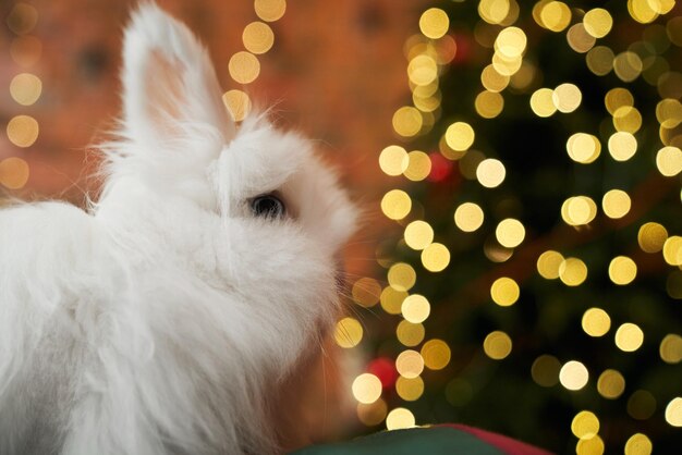 Biały królik siedzi patrząc na choinkę ozdobioną girlandami