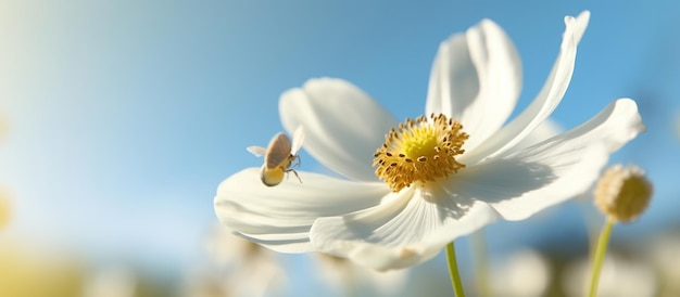 Bezpłatne zdjęcie biały kwiat anemonu z żółtymi pręcikami i motylem obraz generowany przez sztuczną inteligencję
