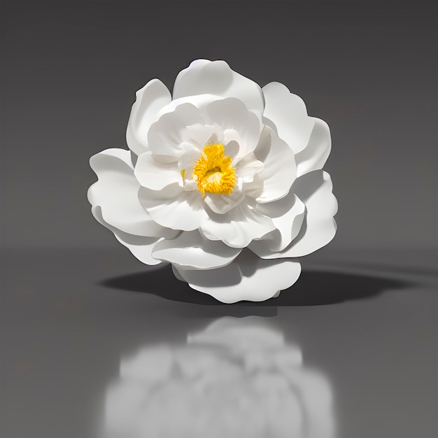 Bezpłatne zdjęcie biały kwiat z żółtym środkiem odbija się w odbijającej powierzchni.