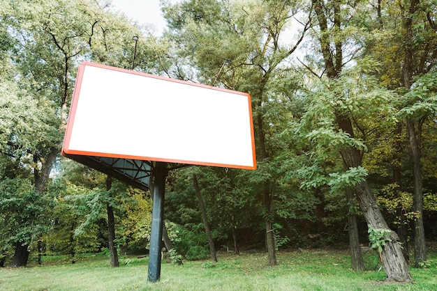 Billboard w pobliżu lasu