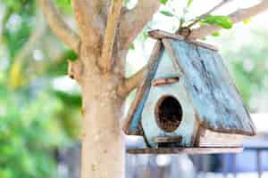 Bezpłatne zdjęcie bird house na drzewie