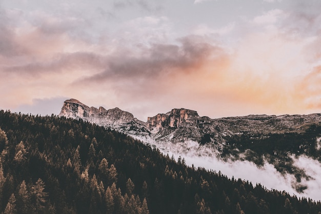 Bezpłatne zdjęcie bird's eye of mountain