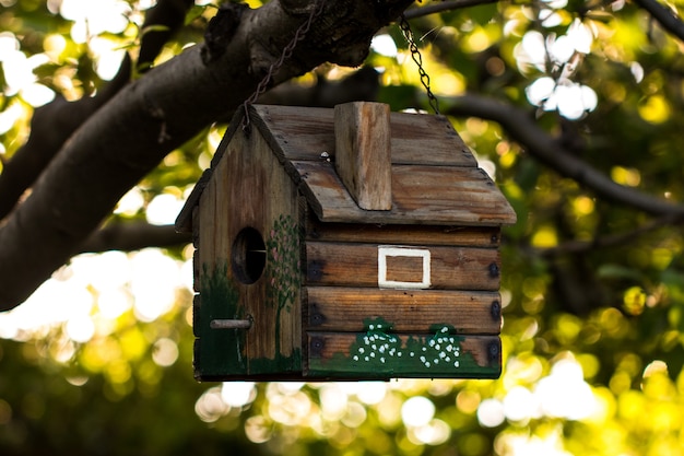 Bezpłatne zdjęcie birdhouse na gałęzi