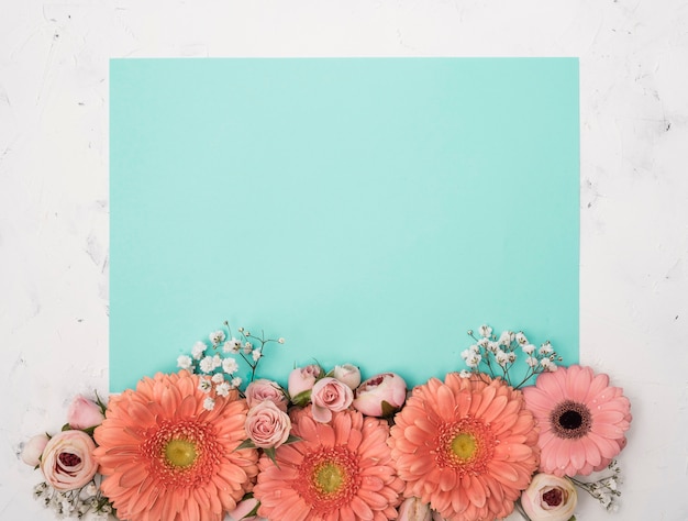Bezpłatne zdjęcie błękit kopii przestrzeni wiosenne kwiaty