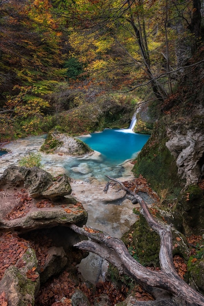 Bezpłatne zdjęcie błękitna rzeka w lesie
