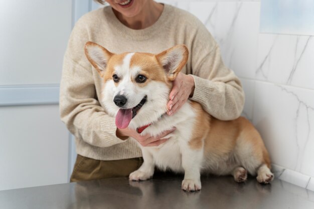 Bezpłatne zdjęcie bliska kobieta trzyma słodkiego psa