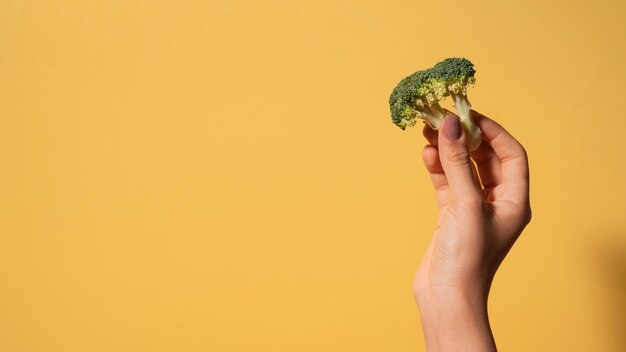 Bliska ręka trzyma brokuły