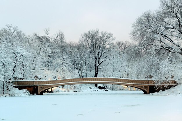 Bow Bridge w Central Parku zimą w centrum Manhattanu w Nowym Jorku