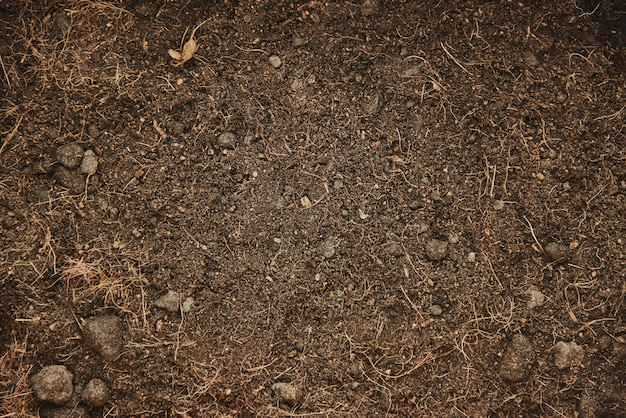 Bezpłatne zdjęcie brązowe tło gleby do ogrodnictwa