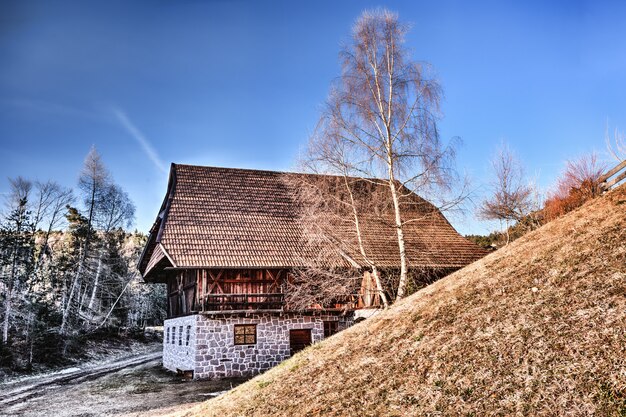 Brązowy dom na dachu w pobliżu fotografii zwiędłych drzew