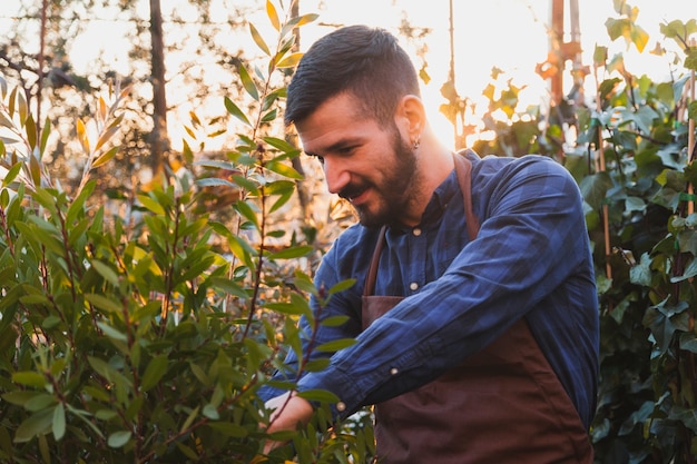 Brodaty mężczyzna bierze opiekę rośliny