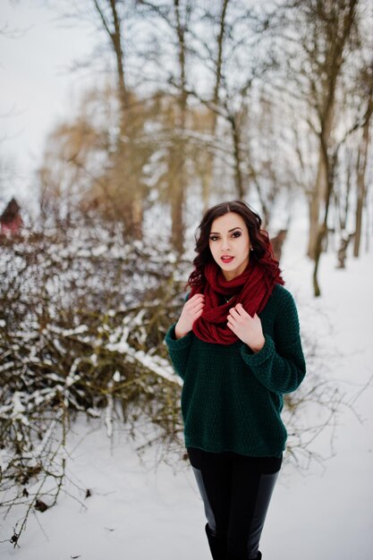 Brunetka dziewczyna w zielonym swetrze i czerwonym szaliku odkryty na wieczorny zimowy dzień
