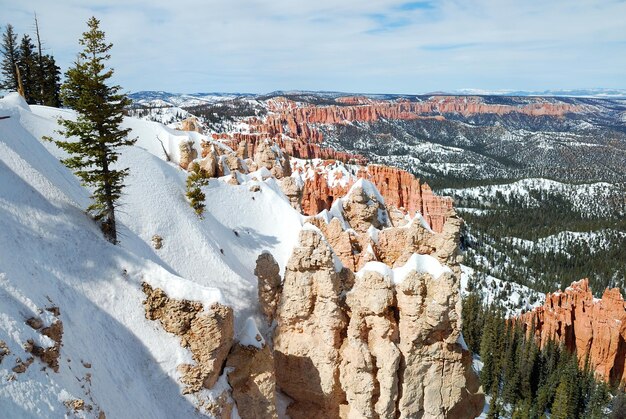 Bryce canyon panorama ze śniegiem w zimie z czerwonymi skałami i błękitnym niebem.