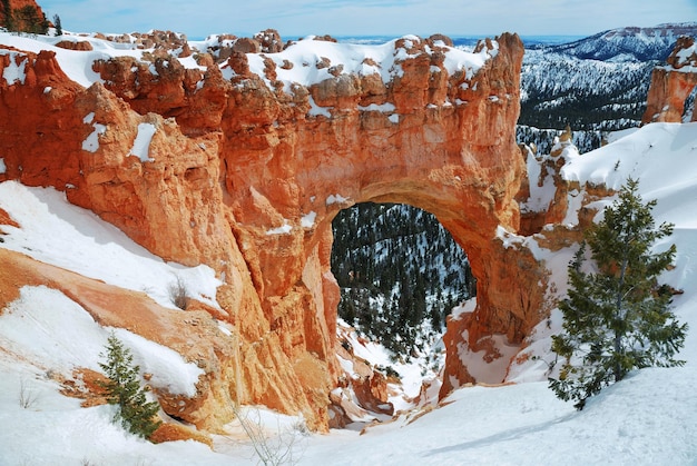 Bezpłatne zdjęcie bryce canyon ze śniegiem zimą