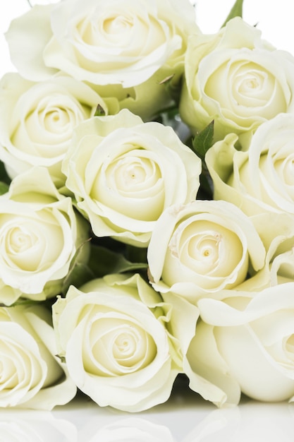 Bezpłatne zdjęcie bukiet białych róż