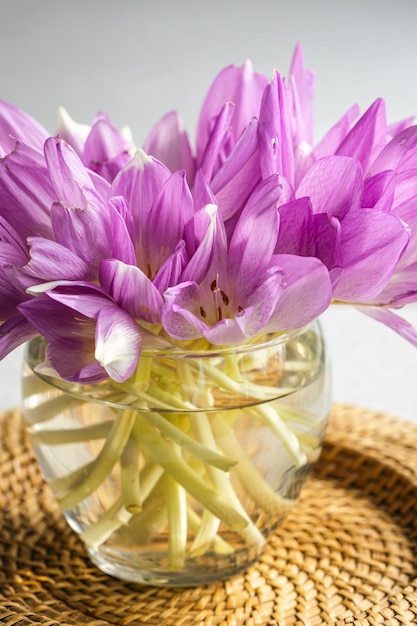 Bezpłatne zdjęcie bukiet fioletowych krokusów w szklanym wazonie