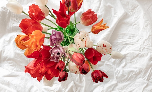 Bezpłatne zdjęcie bukiet świeżych tulipanów w widoku z góry białego łóżka
