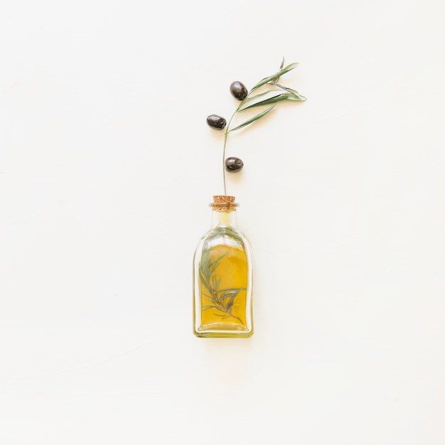 Butelka oleju z gałązką oliwną