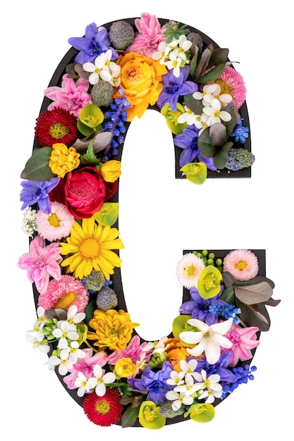 c litery wykonane z prawdziwych naturalnych kwiatów i liści na białym tle izolowane