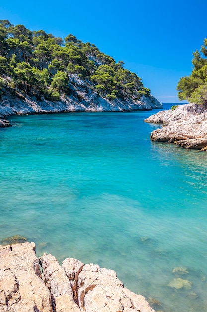 Calanques z Port Pin w Cassis, niedaleko Marsylii we Francji