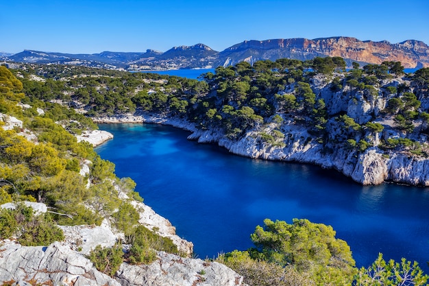 Calanques z Port Pin w Cassis we Francji niedaleko Marsylii