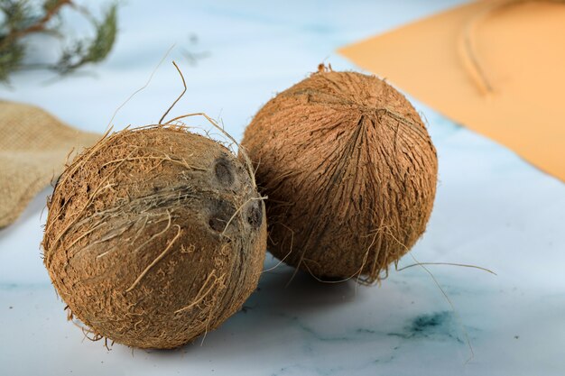 Cały brązowy owłosiony tropikalny kokos