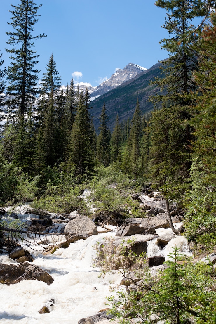 Bezpłatny plik Zdjęcie canadian rockies