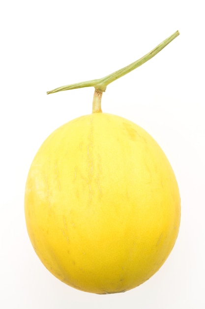 Cantaloupe Izolowane