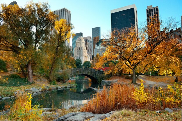 Central Park Jesień i budynki w centrum Manhattanu w Nowym Jorku