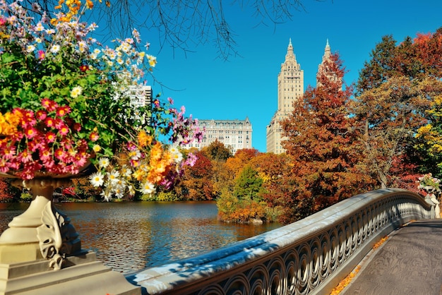 Central Park Jesień i budynki w centrum Manhattanu w Nowym Jorku