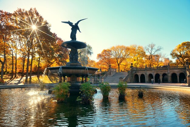 Central Park Jesienna i anielska fontanna w centrum Manhattanu w Nowym Jorku