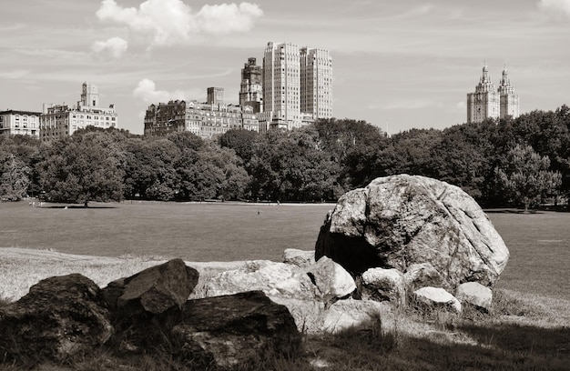 Central Park Spring z panoramą w centrum Manhattanu w Nowym Jorku