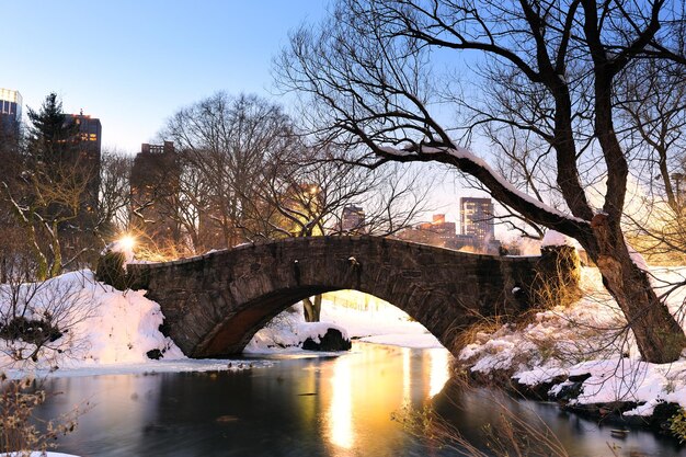 Central Park w Nowym Jorku na Manhattanie zimą